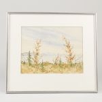 1769&nbsp;9303&nbsp;Akvarell